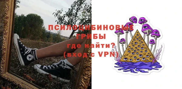 прущий лед Алзамай