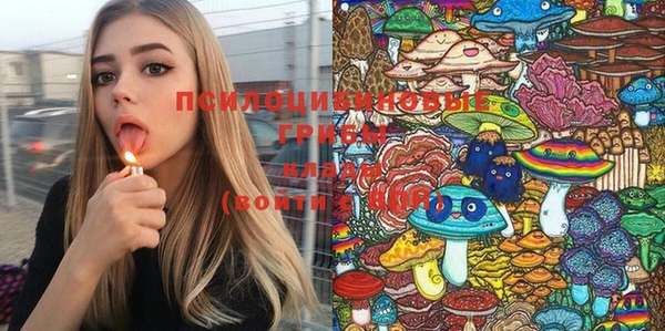 прущий лед Алзамай