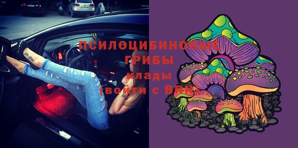 ПСИЛОЦИБИНОВЫЕ ГРИБЫ Алексин