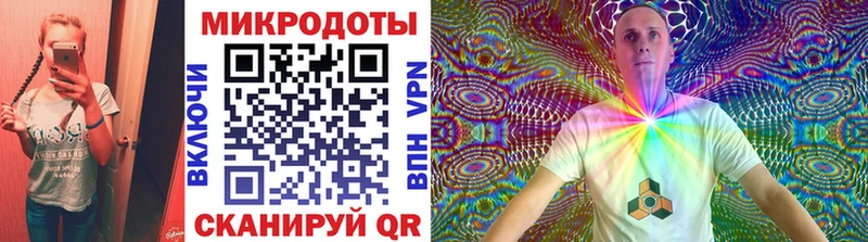 наркота  Александровск-Сахалинский  Псилоцибиновые грибы Cubensis 